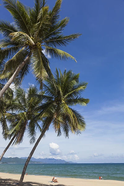 Vietnam, Nha Trang, Nha Trang Beach, Palm Trees