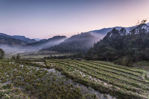 Vietnam, Sapa. Sunrise over rice paddies
