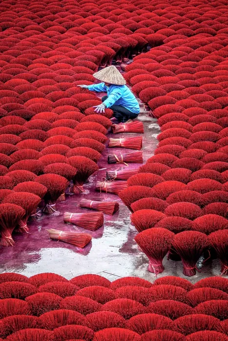Framed Print : Vietnamese woman organising colourful incense sticks to dry, Hanoi, Vietnam. (MR) Framed Print : Vietnamese woman organising colourful incense sticks to dry, Hanoi, Vietnam. (MR)