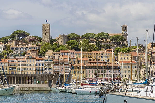 Vieux Port (Old Harbour) and old quarter of Le Suquet, Cannes, Cote D Azur