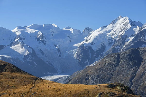 View from Alp Languard at Bernina mountain range, Pontresina, Upper Engadin, Grisons (Graubunden), Switzerland