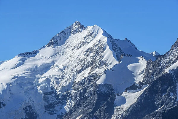 View from Alp Languard at Piz Bernina, Bernina mountain range, Pontresina, Upper Engadin, Grisons (Graubunden), Switzerland