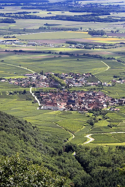 View of the Alsatian plain, Haut-Koenigsbourg castle, Orschwiller, Alsace, France