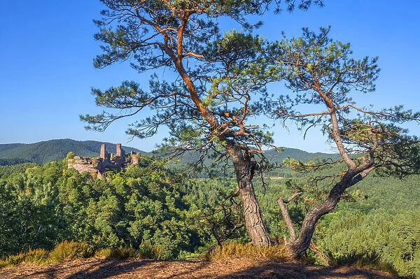 View at Alt-Dahn castle group near Dahn, Palatinate forest, Rhineland-Palatinate, Germany