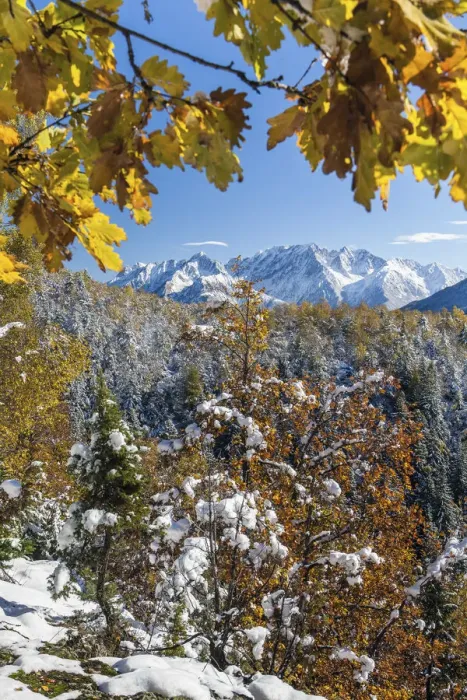 Framed Print : View and autumn colors over Corno Baitone and Mount Avio in the Adamello range Framed Print : View and autumn colors over Corno Baitone and Mount Avio in the Adamello range