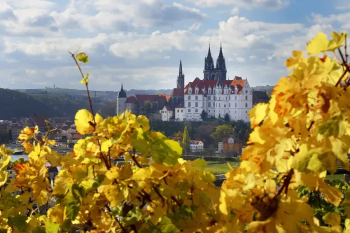 Framed Print : View from the autumn vineyard to Albrechtsburg Meissen, Saxony, Germany, Europe