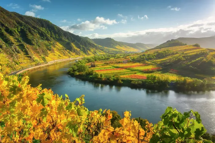 Framed Print : View from the autumnal vineyards near Bremm into the Moselle valley, Bremm, Moselle, Rhineland-Palatinate, Germany, Europe, Rhineland-Palatinate, Germany, Europe Framed Print : View from the autumnal vineyards near Bremm into the Moselle valley, Bremm, Moselle, Rhineland-Palatinate, Germany, Europe, Rhineland-Palatinate, Germany, Europe