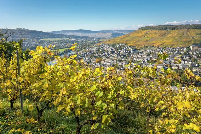 Framed Print : View from the autumnal vineyards to the town of Bernkastel-Kues, Mosel, Rhineland-Palatinate, Germany Framed Print : View from the autumnal vineyards to the town of Bernkastel-Kues, Mosel, Rhineland-Palatinate, Germany
