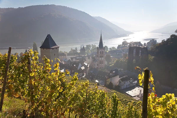 View on Bacharach with Peters church and river Rhine, Rhineland-Palatinate, Germany