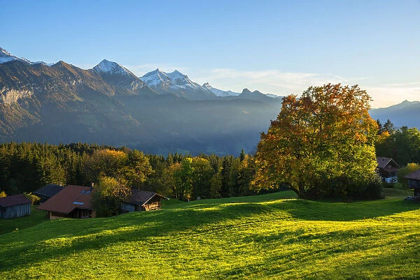 View from Beatenberg on the Bernese Alps, Berner Oberland, Switzerland