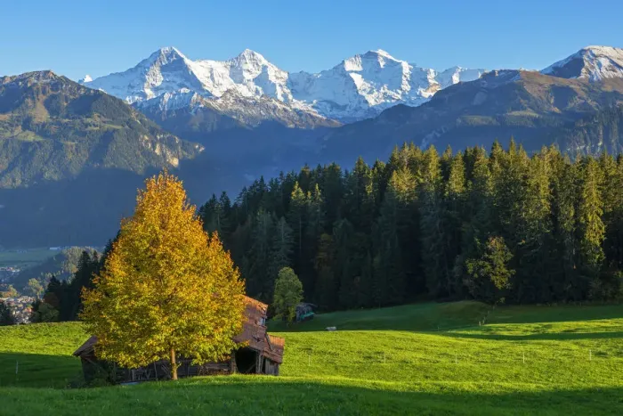 Framed Print : View from Beatenberg on Eiger, Monch and Jungfrau, Berner Oberland, Switzerland Framed Print : View from Beatenberg on Eiger, Monch and Jungfrau, Berner Oberland, Switzerland