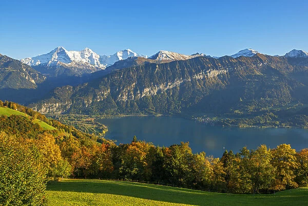 View from Beatenberg on Lake Thun with Eiger, Monch and Jungfrau, Berner Oberland, Switzerland