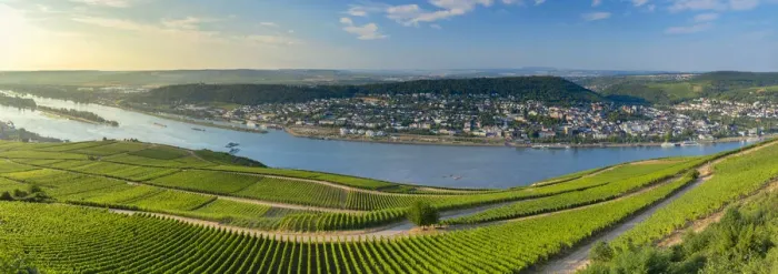 Framed Print : View of Bingen, vineyards and River Rhine, Rudesheim, Rhineland-Palatinate, Germany Framed Print : View of Bingen, vineyards and River Rhine, Rudesheim, Rhineland-Palatinate, Germany