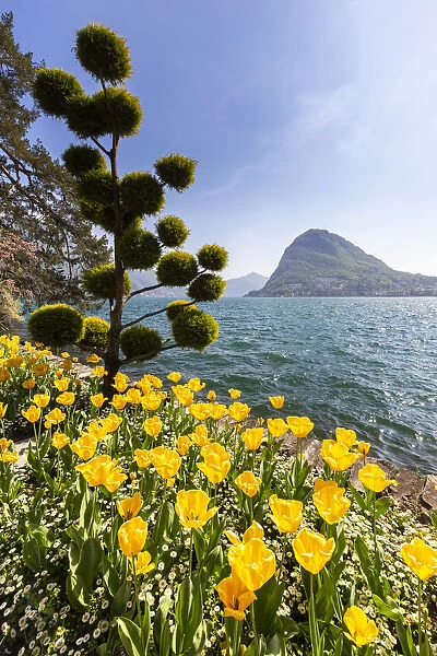 View of blooming flowerbed at Parco Ciani lakefront in Lugano city on a spring day