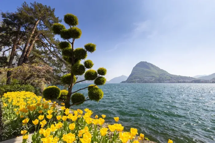 Framed Print : View of blooming flowerbed at Parco Ciani lakefront in Lugano city on a spring day