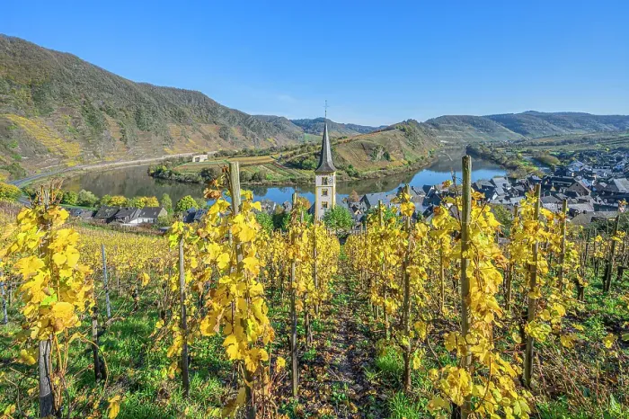 Framed Print : View at Bremm and Calmont, Mosel, Mosel valley, Rhineland-Palatinate, Germany