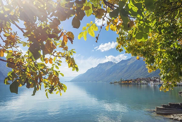 View at Brienz with Lake Brienz, Berner Oberland, Switzerland
