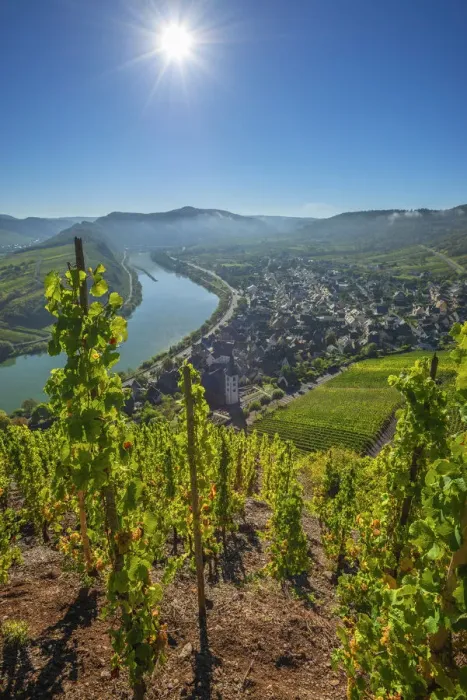 Framed Print : View from Calmont, Bremm, Mosel valley, Rhineland-Palatinate, Germany Framed Print : View from Calmont, Bremm, Mosel valley, Rhineland-Palatinate, Germany