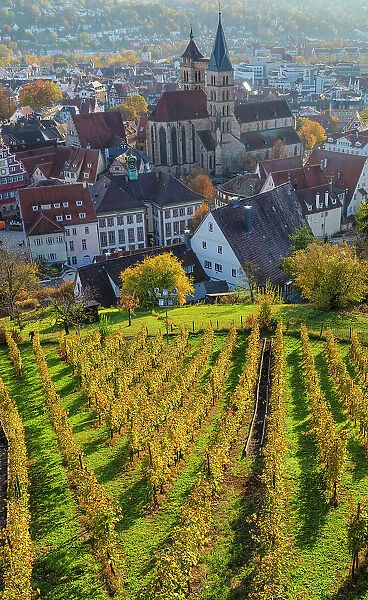 View from the castle towards the old town with Parish Church of St. Dionys, Esslingen am Neckar, Baden Wurttemberg, Germany