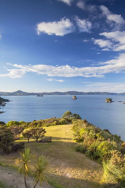 View of Cathedral Cove Marine Reserve (Te Whanganui-A-Hei), Coromandel Peninsula