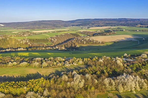 View on Erbeskopf, Hunsruck National Parc, Hunsruck, Rhineland-Palatinate, Germany