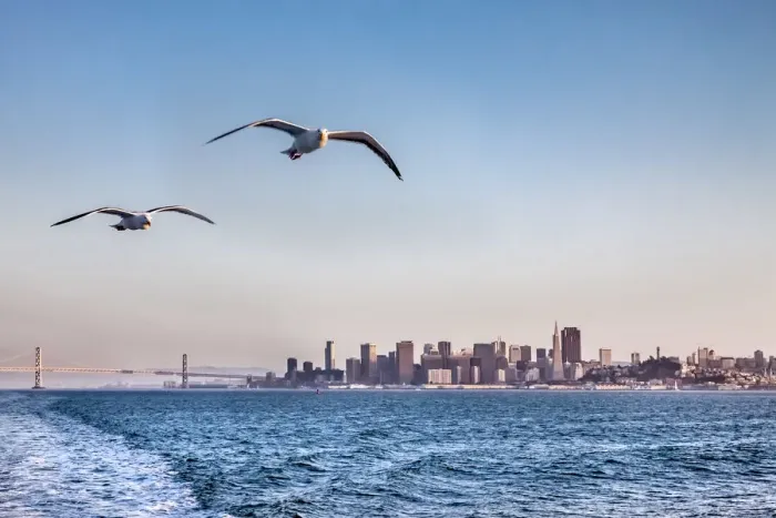 Framed Print : View from ferry towards downtown, San Francisco, California, USA Framed Print : View from ferry towards downtown, San Francisco, California, USA