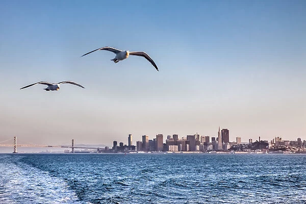 View from ferry towards downtown, San Francisco, California, USA