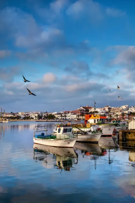 Framed Print : View from fishing harbour towards old town, Lagos, Algarve, Portugal Framed Print : View from fishing harbour towards old town, Lagos, Algarve, Portugal