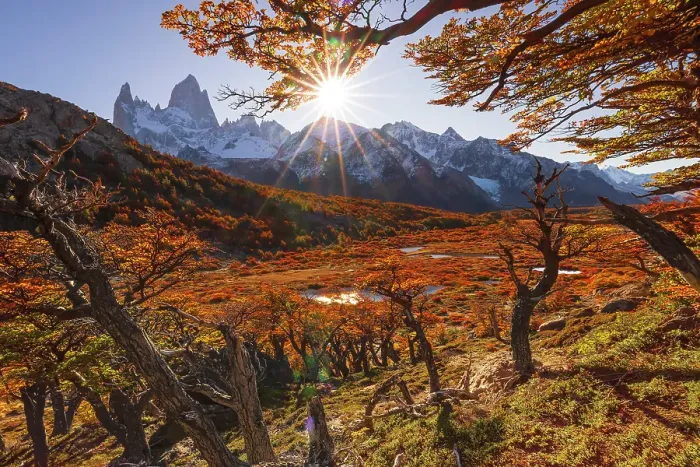 Framed Print : View of the Fitzroy mountain, Los Glaciares National Park, Patagonia, Argentina Framed Print : View of the Fitzroy mountain, Los Glaciares National Park, Patagonia, Argentina