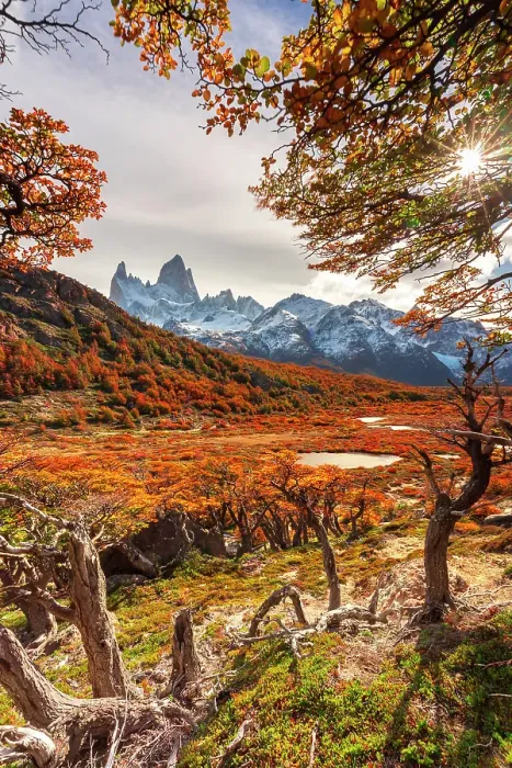 Framed Print : View of the Fitzroy mountain, Los Glaciares National Park, Patagonia, Argentina Framed Print : View of the Fitzroy mountain, Los Glaciares National Park, Patagonia, Argentina