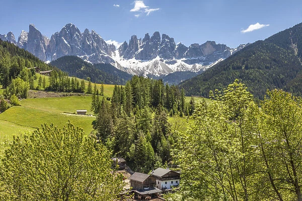 View to the Geisler group mountain range from St. Magdalena, Villnoesstal, South Tyrol, Italy