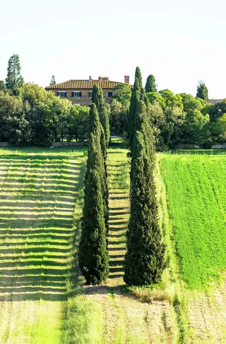 Framed Print : View towards Gladiator villa and cypress trees, Val d'Orcia, Tuscany, Italy Framed Print : View towards Gladiator villa and cypress trees, Val d'Orcia, Tuscany, Italy