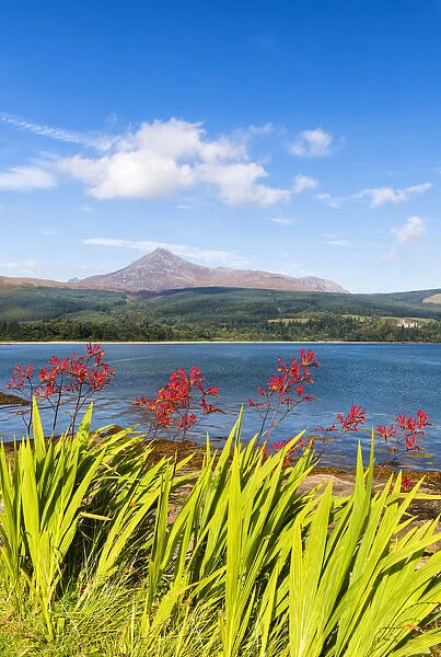 View towards Goatfell, the highest point of the island, Isle of Arran, Firth of Clyde