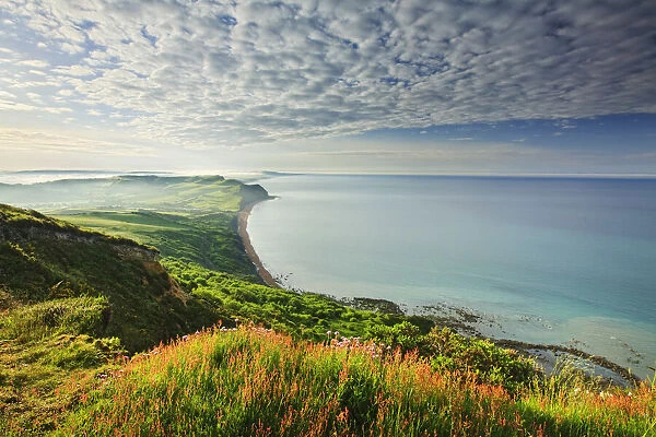 View from Golden Cap looking towards Seatown, Dorset, England