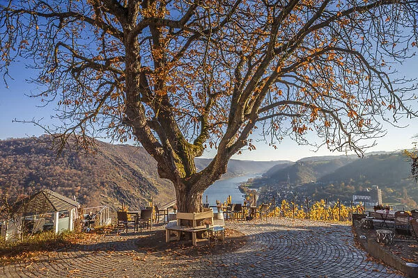 View from Günderodehaus to Oberwesel and the Middle Rhine Valley, Rhineland-Palatinate, Germany