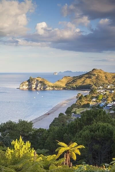 View of Hahei beach, Coromandel Peninsula, North Island, New Zealand