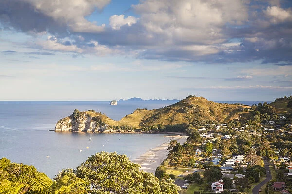 View of Hahei beach, Coromandel Peninsula, North Island, New Zealand