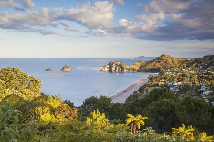 Framed Print : View of Hahei beach, Coromandel Peninsula, North Island, New Zealand