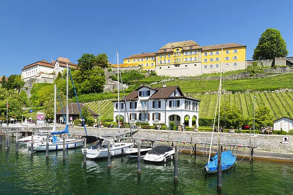 View from the harbour to the State Winery, Meersburg, Upper Swabia, Baden-Wurttemberg, Germany
