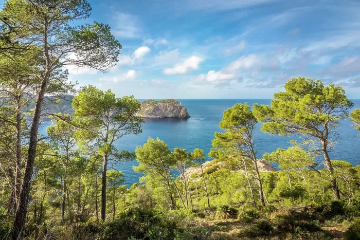Framed Print : View from the hiking trail to the North Cape of Sa Dragonera with the Far de Tramuntana lighthouse, Sant Elm, Mallorca, Balearic Islands, Spain Framed Print : View from the hiking trail to the North Cape of Sa Dragonera with the Far de Tramuntana lighthouse, Sant Elm, Mallorca, Balearic Islands, Spain