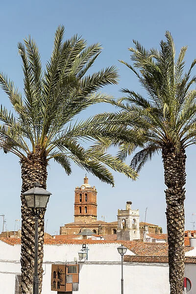 View towards Iglesia de la Candelaria (Church of la Candelaria), Zafra, Extremadura, Badajoz, Spain