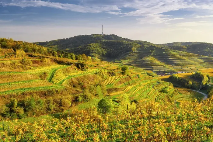 Framed Print : View over the Kaiserstuhl wine-growing region in autumn. Oberbergen, Breisgau, Black Forest, Baden-Wuerttemberg, Germany, Europe Framed Print : View over the Kaiserstuhl wine-growing region in autumn. Oberbergen, Breisgau, Black Forest, Baden-Wuerttemberg, Germany, Europe