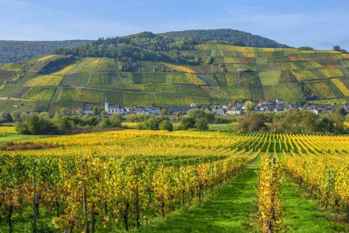 Framed Print : View on Kesten, Mosel valley, Rhineland-Palatinate, Germany Framed Print : View on Kesten, Mosel valley, Rhineland-Palatinate, Germany
