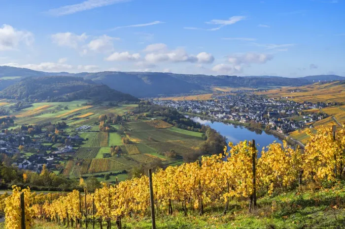 Framed Print : View at Krov, Mosel valley, Rhineland-Palatinate, Germany Framed Print : View at Krov, Mosel valley, Rhineland-Palatinate, Germany