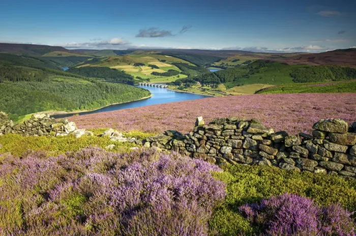 Framed Print : View Over Ladybower Reservoir, Peak District National Park, Derbyshire, England Framed Print : View Over Ladybower Reservoir, Peak District National Park, Derbyshire, England