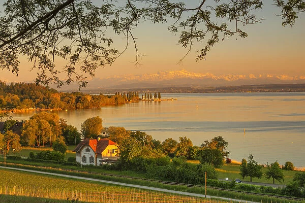 View over Lake Constance to Swiss Alps with Santis (2502m), Unteruhldingen, Upper Swabia, Baden Wurttemberg, Germany