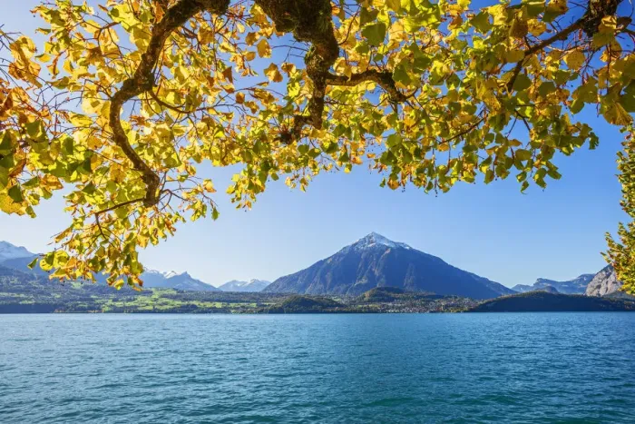 Framed Print : View over Lake Thun on Spiez and Niesen mountain, Berner Oberland, Switzerland