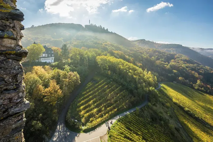 Framed Print : View from the Landshut castle ruins into the vineyards of Bernkastel-Kues, Mosel, Rhineland-Palatinate, Germany Framed Print : View from the Landshut castle ruins into the vineyards of Bernkastel-Kues, Mosel, Rhineland-Palatinate, Germany