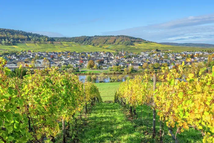 Framed Print : View at Leiwen, Mosel, Mosel valley, Rhineland-Palatinate, Germany Framed Print : View at Leiwen, Mosel, Mosel valley, Rhineland-Palatinate, Germany