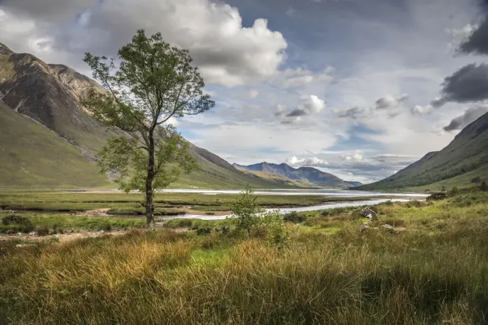 Framed Print : View to Loch Etive in Glen Etive, Highlands, Scotland, Great Britain Framed Print : View to Loch Etive in Glen Etive, Highlands, Scotland, Great Britain